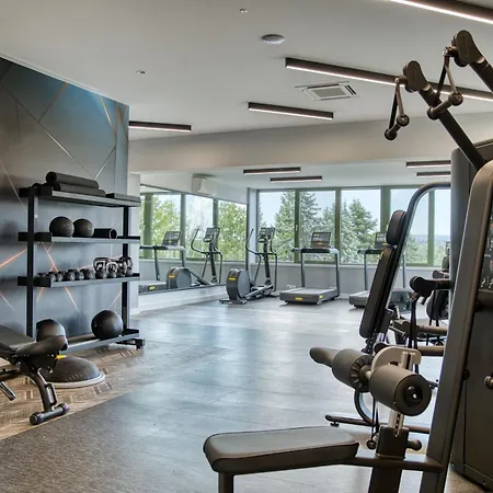 Hotel Ensana Thermal Aqua